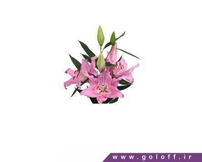 product 2283 mothers day flower box 30